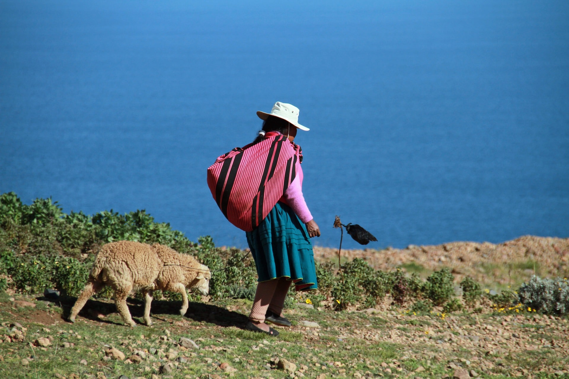 lago-titicaca Piantando - Isola di amantani
