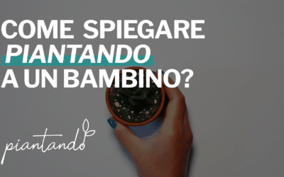 Piantando spiegata a un bambino