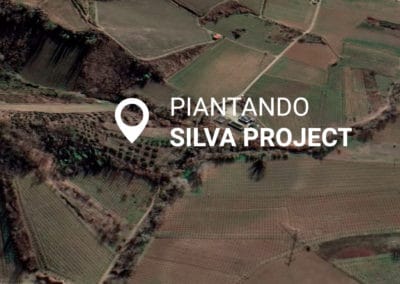 Silva Project