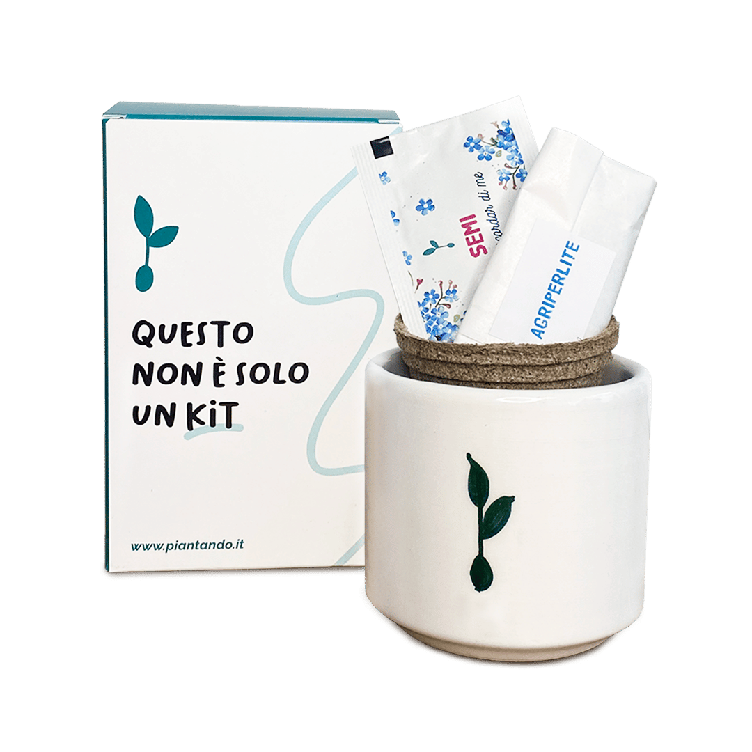 Own Grown Set di Coltivazione - 12 Erbe Aromatiche, 1 set - Bloomling Italia